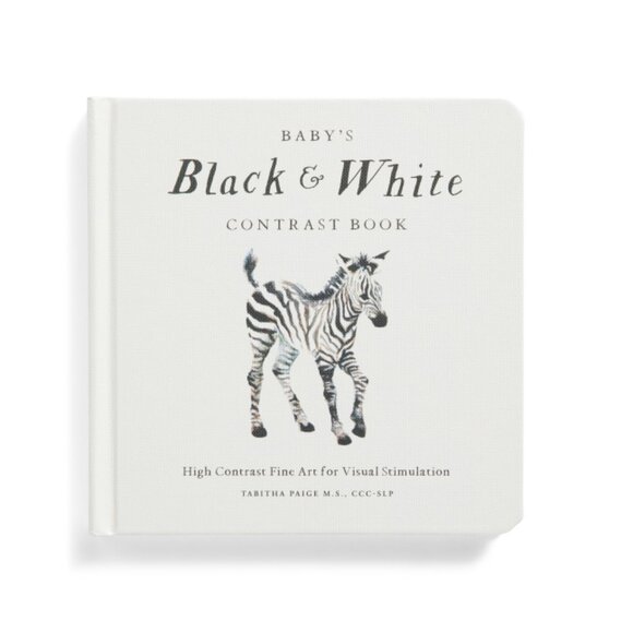 PAIGE TATE & CO Multi Baby's Black And White Contrast Board Book - Picture 1 of 2